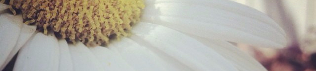 slideshop, first blog