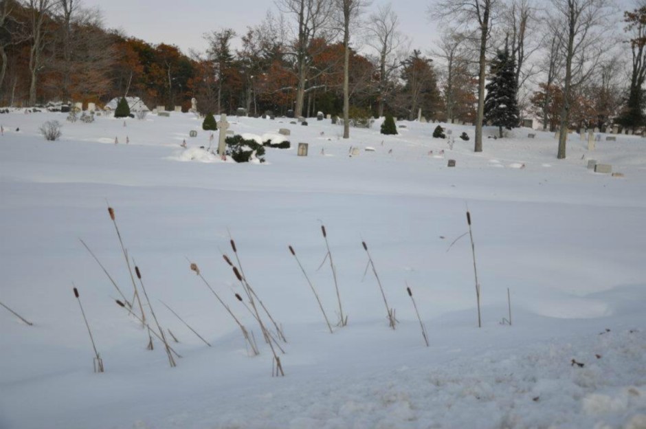 nor'easter. sleepy hollow, 2011